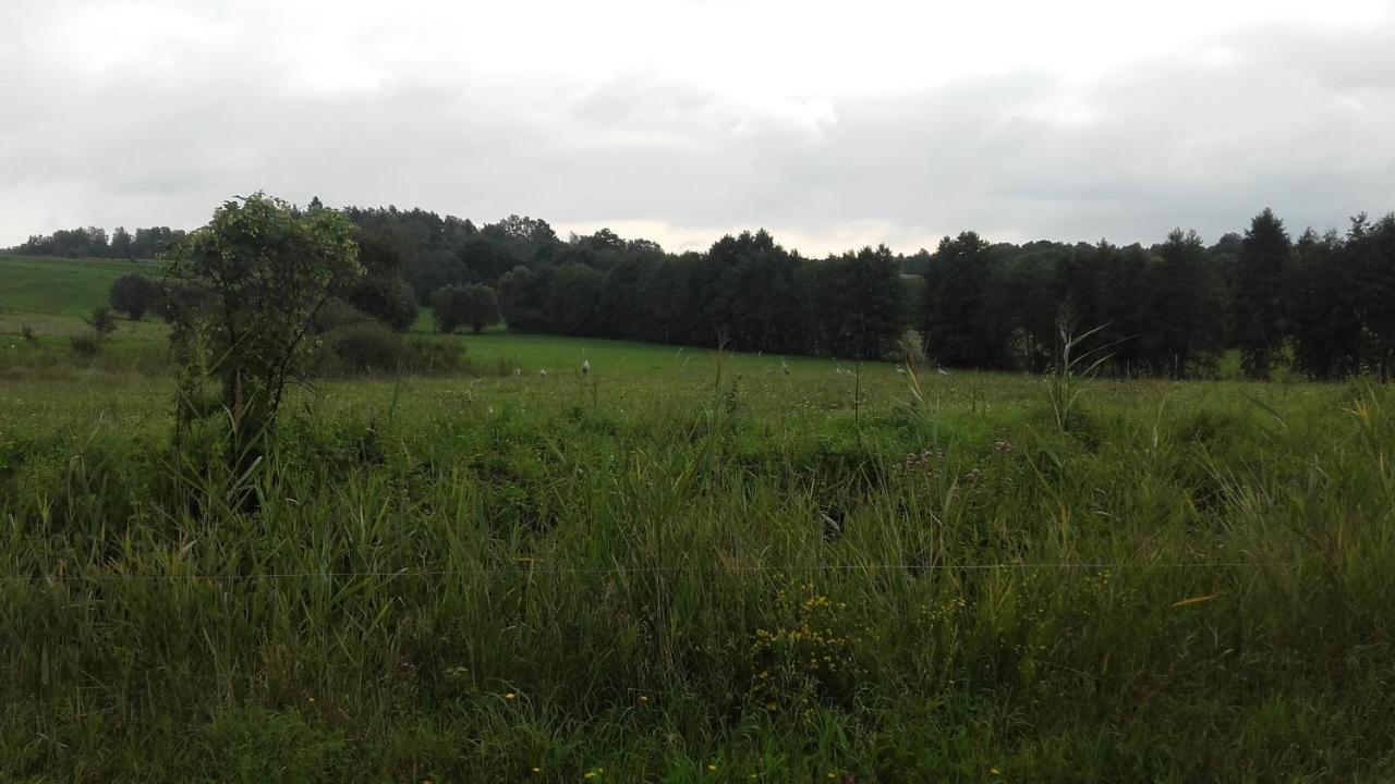 Domek Bialojany Экстерьер фото